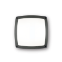 Aplica IP54 COMETA AP3 ANTRACITE