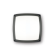 Aplica IP54 COMETA AP3 ANTRACITE