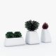 Ghivece - Ghiveci plante / Vaza flori exterior / interior design modern premium MOMA PLANTER LOW