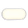 Aplica LED de perete sau tavan cu protectie IP54 Cuba Energy Oval