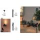 Aplice - Aplica lumina ambientala perete exterior IP65 RAMO