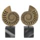 Set 2 obiecte decorative LUX Ammonite