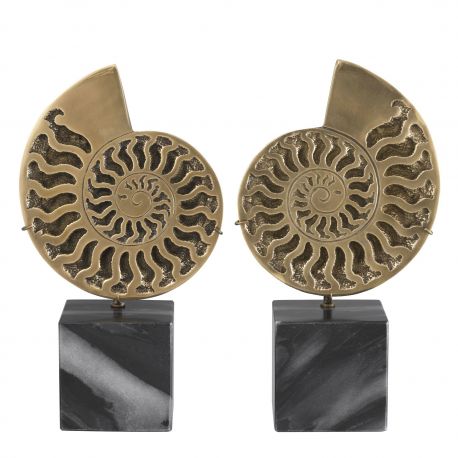 Parfumuri de camera, Idei cadouri, Obiecte decorative - Set 2 obiecte decorative LUX Ammonite