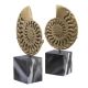 Parfumuri de camera, Idei cadouri, Obiecte decorative - Set 2 obiecte decorative LUX Ammonite