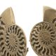 Parfumuri de camera, Idei cadouri, Obiecte decorative - Set 2 obiecte decorative LUX Ammonite