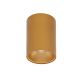 Spot aplicat tavan / plafon design modern minimalist NIDO auriu