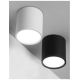 Plafoniere cu spoturi, Spoturi aplicate - Spot LED aplicat tavan / plafon design modern minimalist GARF alb