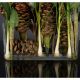 Aranjamente florale LUX - Aranjament floral design LUX ETERNITY RECTANGULAR VASE CORINTO