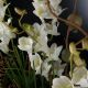 Aranjamente florale LUX - Aranjament floral design LUX ETERNITY RECTANGULAR VASE CORINTO