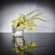 Aranjamente florale LUX - Aranjament floral mic decor festiv design LUX ETERNITY CUBO MINI PHALAENOPSI