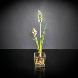 Aranjamente florale LUX - Aranjament floral mic decor festiv design LUX ETERNITY CUBO SINGLE MUSCARI