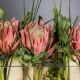 Aranjamente florale LUX - Aranjament floral decor festiv design LUX RECTANGULAR VASE DELFI