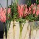 Aranjamente florale LUX - Aranjament floral decor festiv design LUX RECTANGULAR VASE DELFI