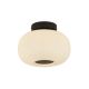 Plafoniere - Plafoniera sticla deco stil modern LUMINA