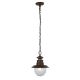 Lustra / Pendul pentru iluminat exterior rustic Station
