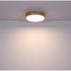 Plafoniere - Plafoniera LED dimabila cu telecomanda design modern RAINER