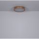 Plafoniere - Plafoniera LED dimabila cu telecomanda design modern RAINER