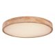 Plafoniere - Plafoniera LED dimabila cu telecomanda design modern RAINER