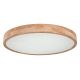 Plafoniere - Plafoniera LED dimabila cu telecomanda design modern RAINER