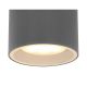 Aplice - Aplica de tavan pentru exterior design modern, IP44 ALCALA antracit