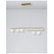 Candelabre, Lustre - Lustra cu 5 surse de lumina design modern CANTONA