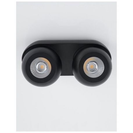 Aplice cu Spot - Aplica cu 2 spoturi LED directionabile Gon negru