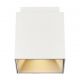 Plafoniere cu spoturi, Spoturi aplicate - Spot aplicat design modern ETHAN alb