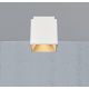 Plafoniere cu spoturi, Spoturi aplicate - Spot aplicat design modern ETHAN alb