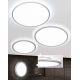 Plafoniere - Plafoniera LED dimabila GREG, 60cm