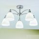 Lustre aplicate - Lustra aplicata cu 5 brate Susan, crom