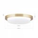 Plafoniere - Plafoniera LED moderna LEROX 20cm alama mat