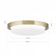 Plafoniere - Plafoniera LED moderna LEROX 20cm alama antique
