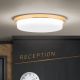 Plafoniere - Plafoniera LED moderna LEROX 30cm aurie 24K