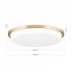 Plafoniere - Plafoniera LED moderna LEROX 40cm alama mat