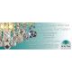 Lustre Cristal Swarovski - Lustra cristal Swarovski Spectra design modern de lux GALAXY Oval 36L crom