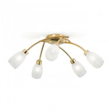 Lustre aplicate - Lustra aplicata eleganta Carla