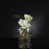 Aranjament floral ORLY BULB