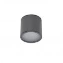 Spot aplicat pentru exterior IP65 ALIX GR