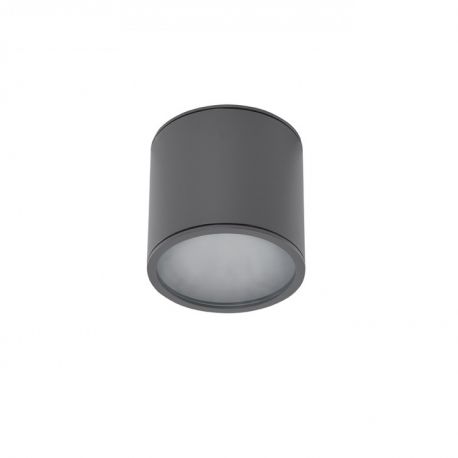 Spoturi - Spot aplicat pentru exterior IP65 ALIX GR