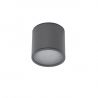 Spot aplicat pentru exterior IP65 ALIX GR