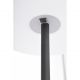 Stalpi - Lampadar de iluminat exterior IP44 HAVANA negru/alb