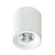 Plafoniere cu spoturi, Spoturi aplicate - Spot LED aplicat tavan/plafon MANE alb 4000K
