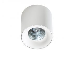 Plafoniere cu spoturi, Spoturi aplicate - Spot LED aplicat tavan/plafon MANE 20W alb