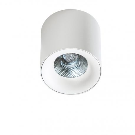 Plafoniere cu spoturi, Spoturi aplicate - Spot LED aplicat tavan/plafon MANE 20W alb