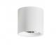 Plafoniere cu spoturi, Spoturi aplicate - Spot LED aplicat tavan/plafon MANE 20W alb