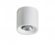 Plafoniere cu spoturi, Spoturi aplicate - Spot LED aplicat tavan/plafon MANE 20W alb