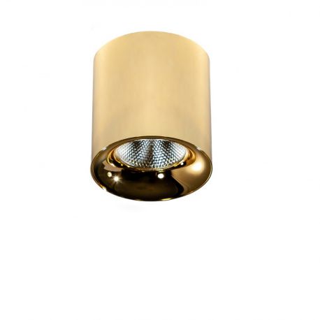 Plafoniere cu spoturi, Spoturi aplicate - Spot LED aplicat tavan/plafon MANE 20W auriu