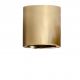 Plafoniere cu spoturi, Spoturi aplicate - Spot LED aplicat tavan/plafon MANE 20W auriu