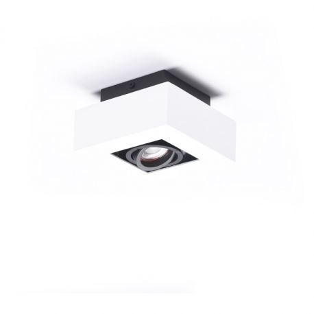Spoturi tavan fals - Spot aplicat directionabil de tavan/plafon NIKEA 1 GU10 alb/negru