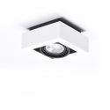 Spot aplicat directionabil de tavan/plafon NIKEA 1 ES111 alb/negru